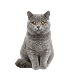 UK Pet